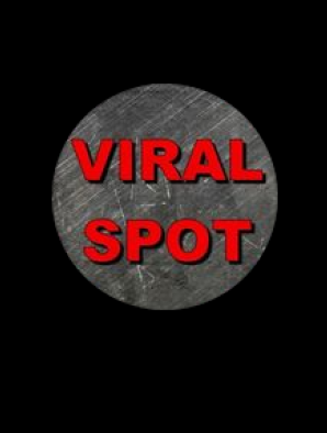 the_viral_spot